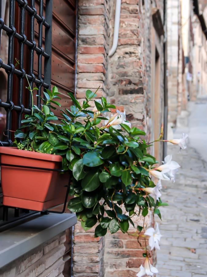 Apartamento Casa Armanni - La Tua Casa Di Pietra Gubbio Exterior foto